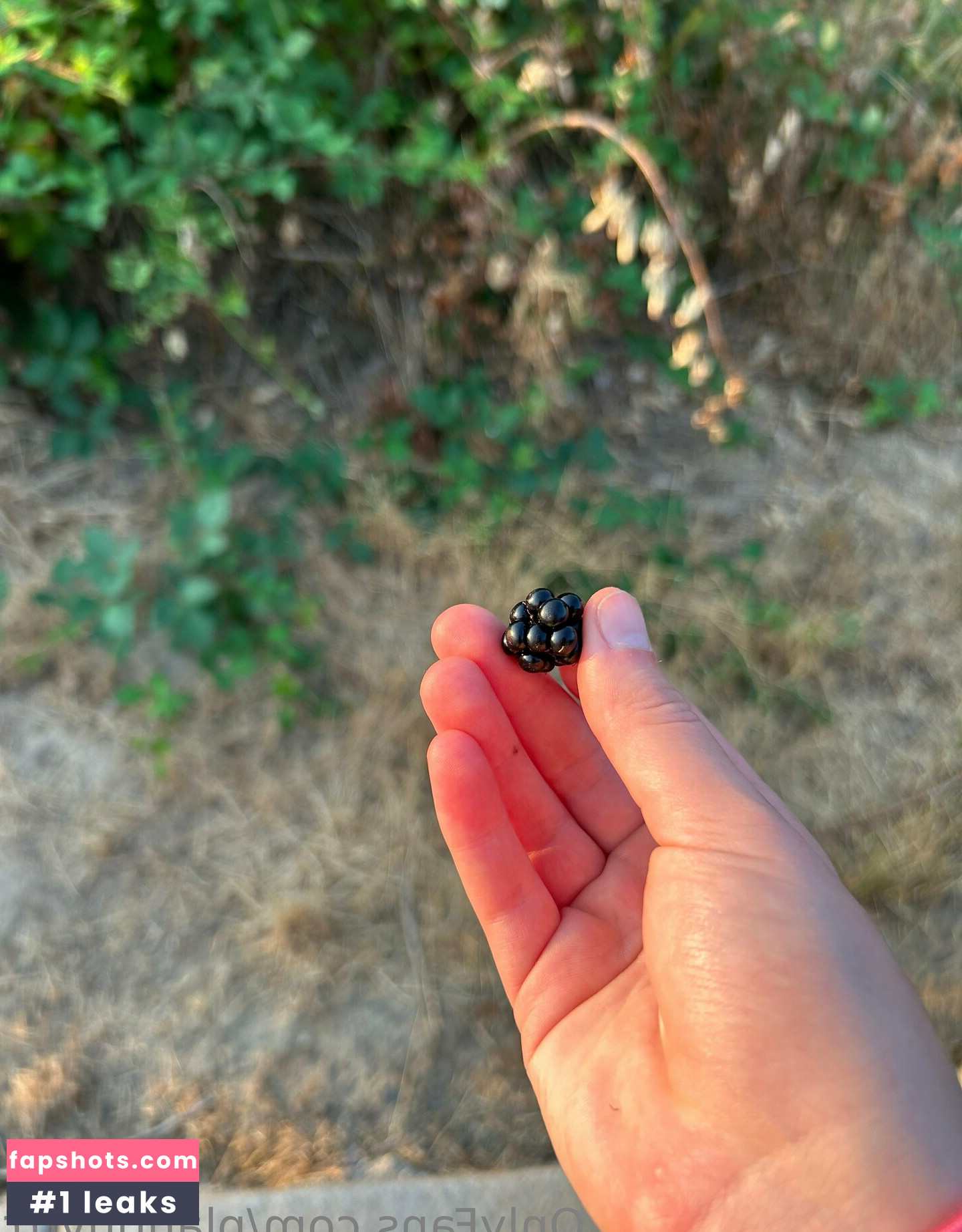 plantluvrrr Filtración Desnuda OnlyFans Foto #41 - Fapshots