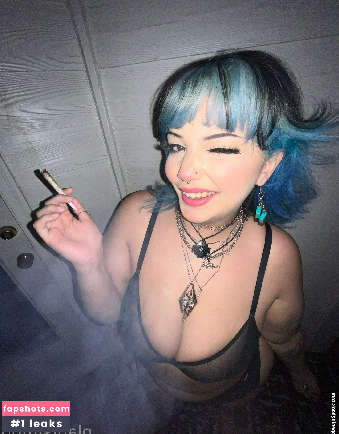 plantsimpp gallery photo #24