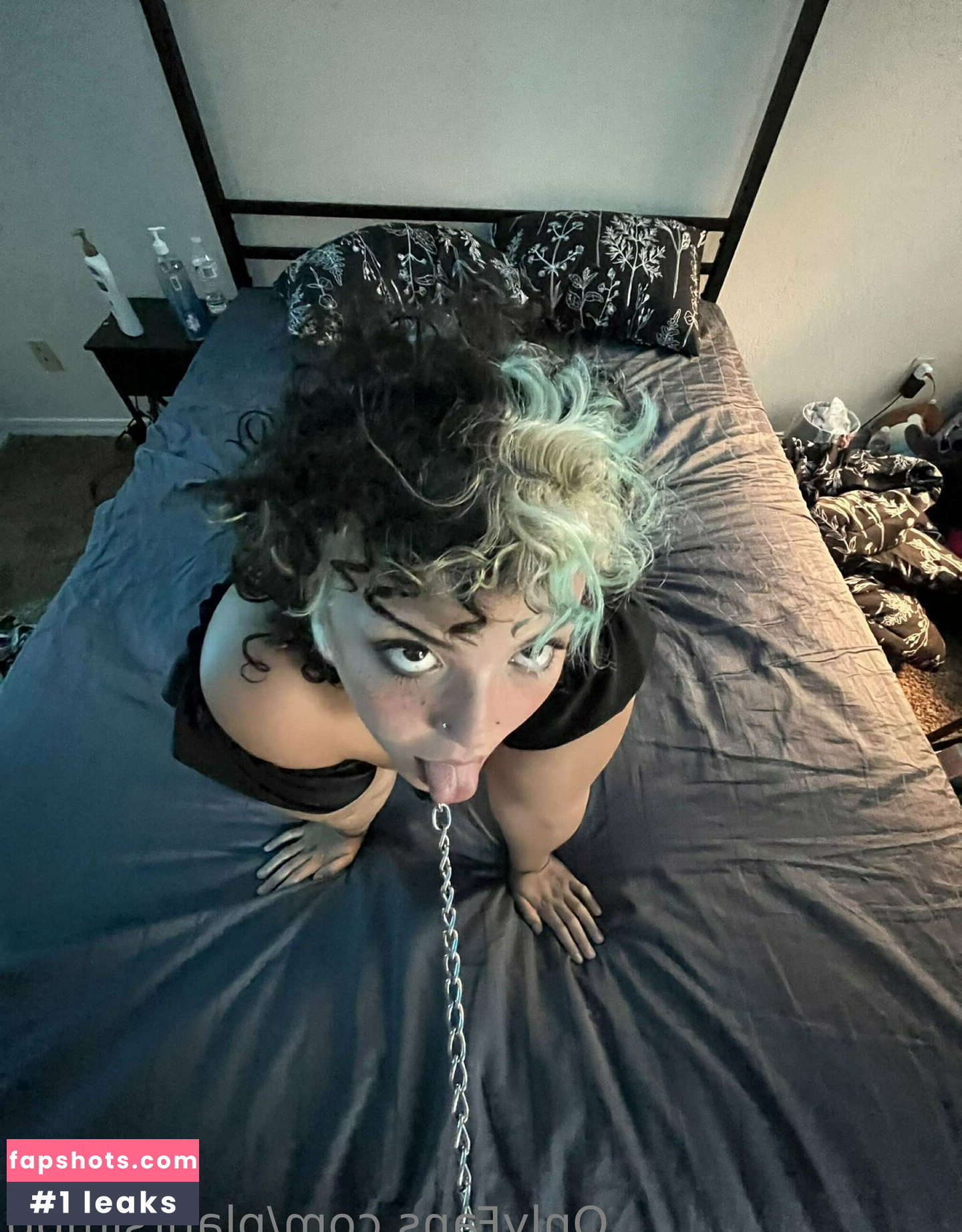 plantsimpp gallery photo #31