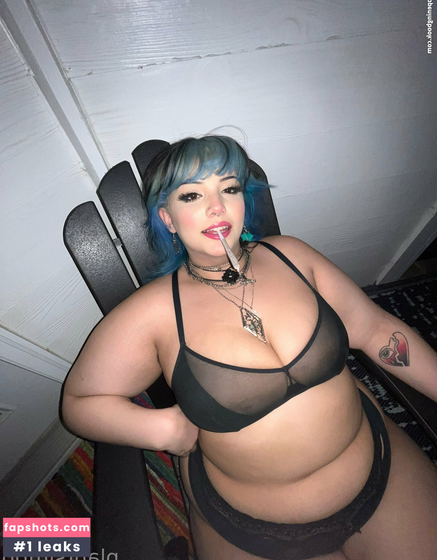 plantsimpp gallery photo #5