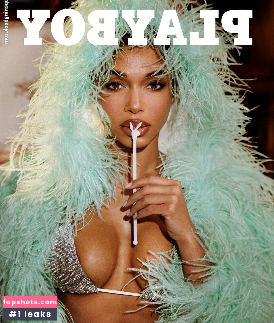 Playboy International gallery photo #1018