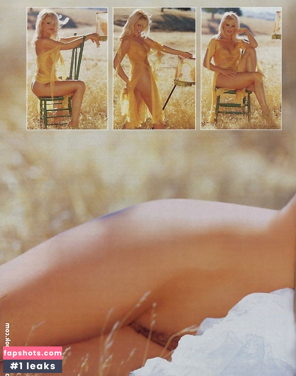 Playboy International Nahé úniky fotek pouze od fanoušků #216 - Fapshots