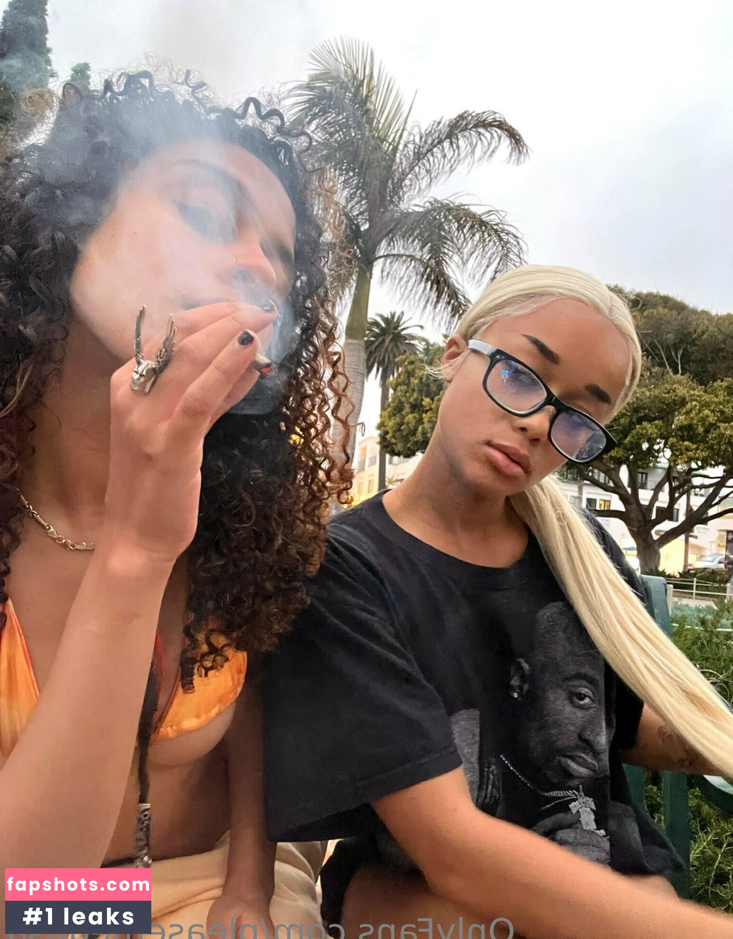 pleasemedusa gallery photo #5