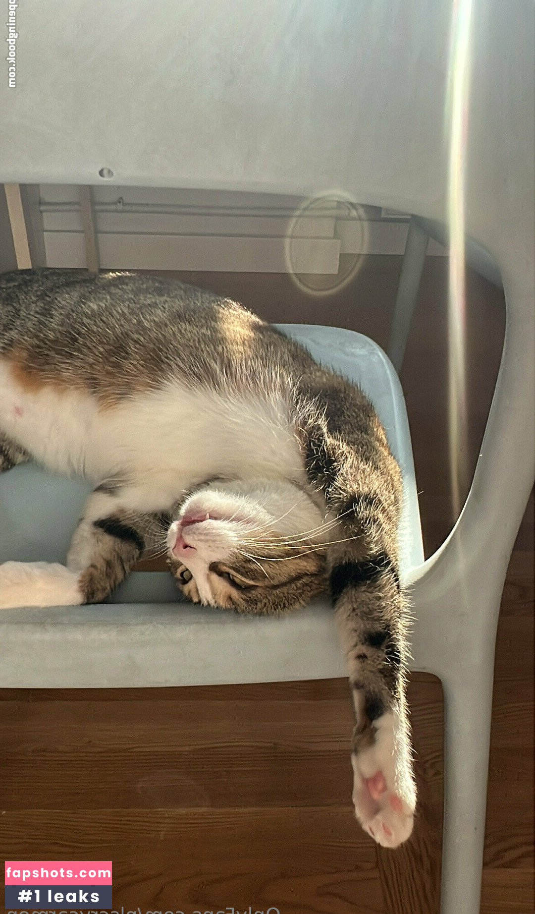 plscrycarmen gallery photo #9