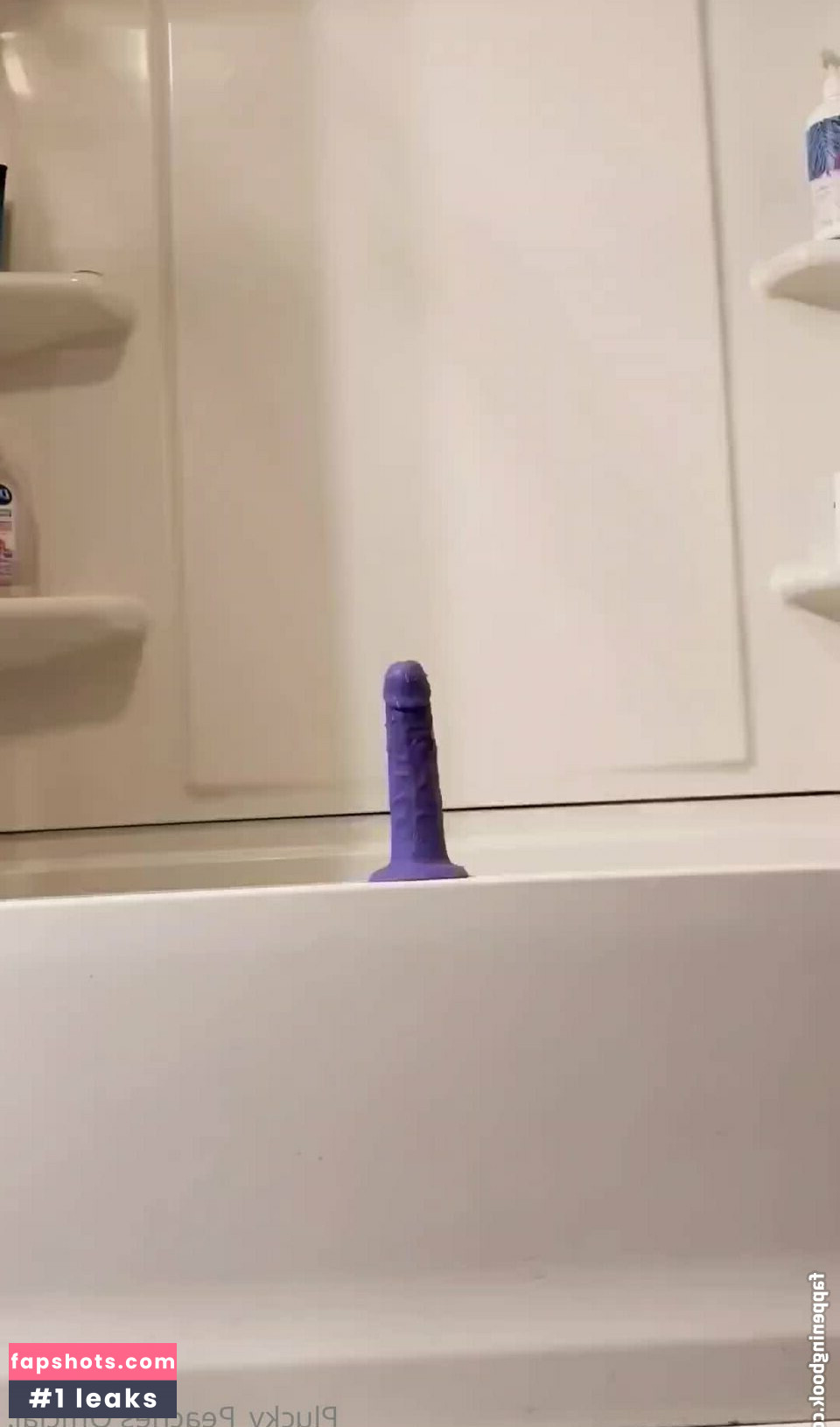 pluckypeaches Nacktheit OnlyFans Fotos #6 - Fapshots