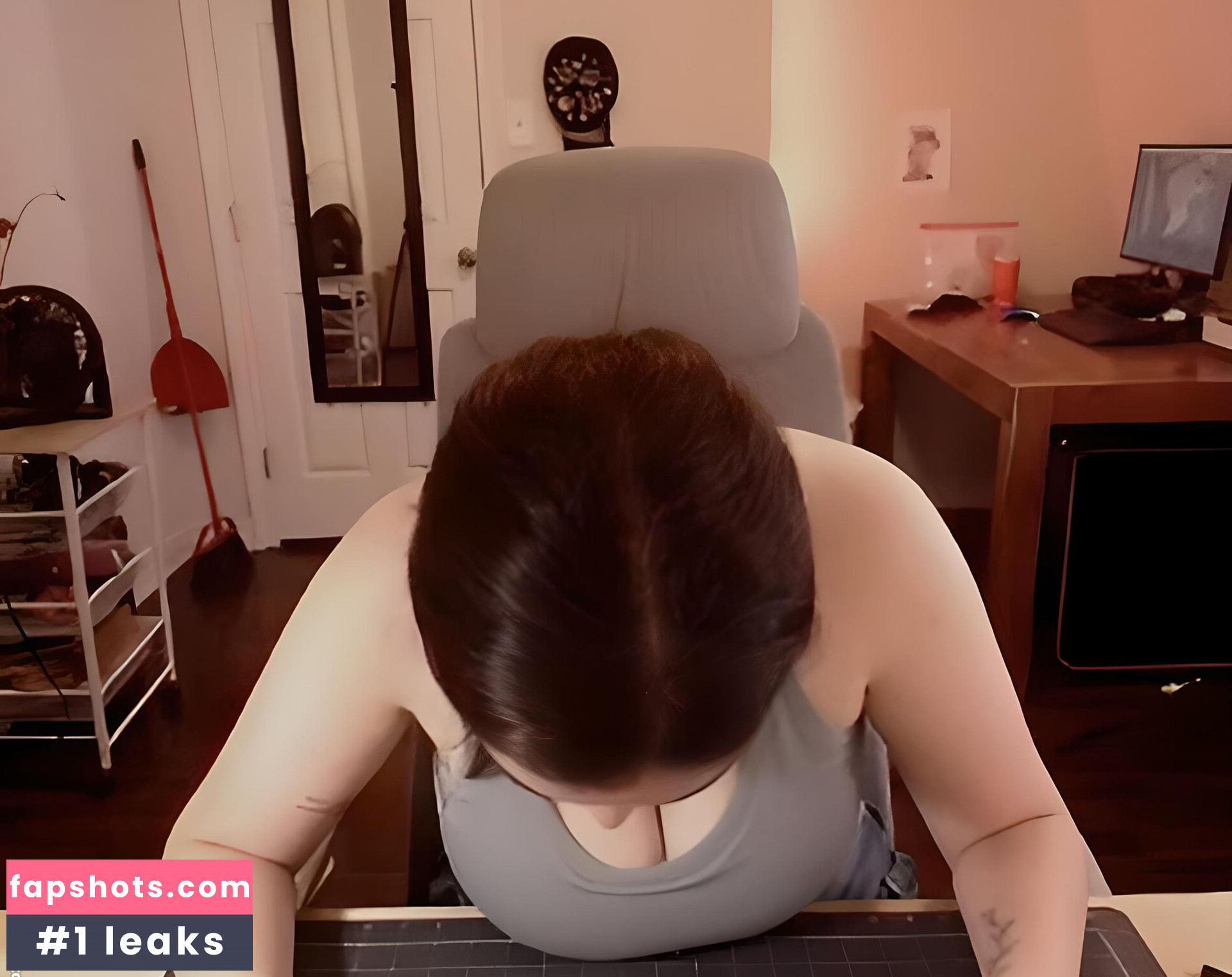 PmsProxy gallery photo #13