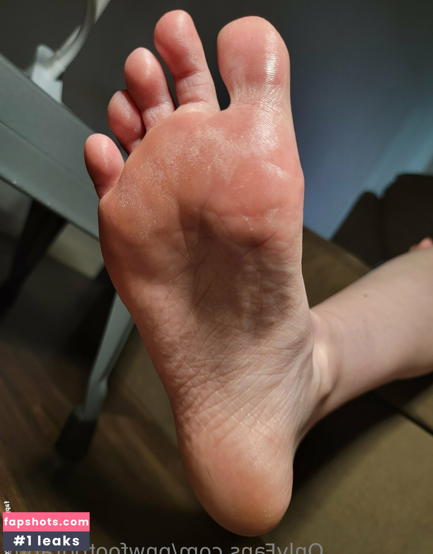 pnwfootography gallery photo #9