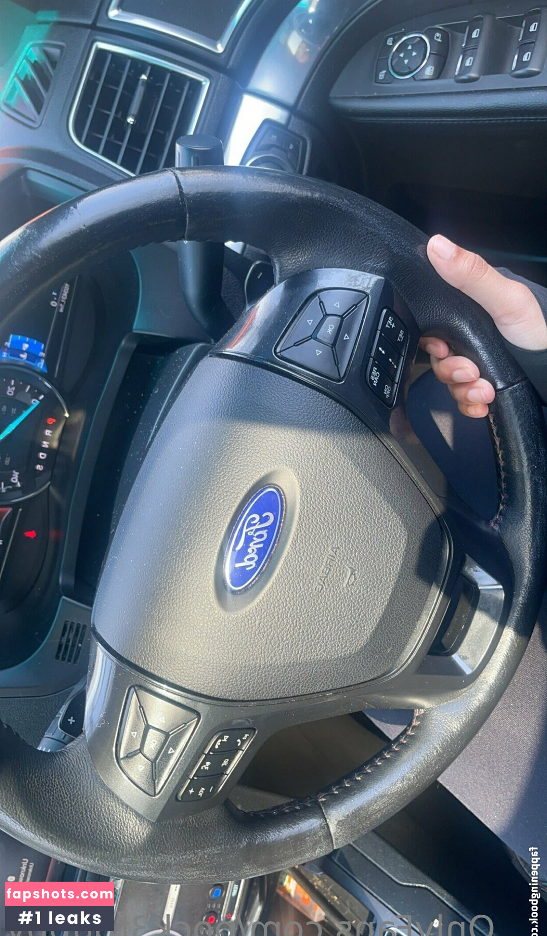 pock3tpuppy gallery photo #54