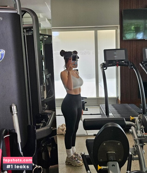 Pokimane gallery photo #1240