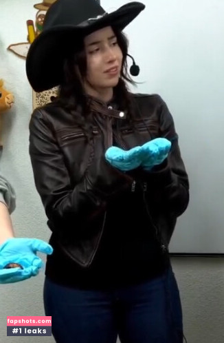 Pokimane gallery photo #1265