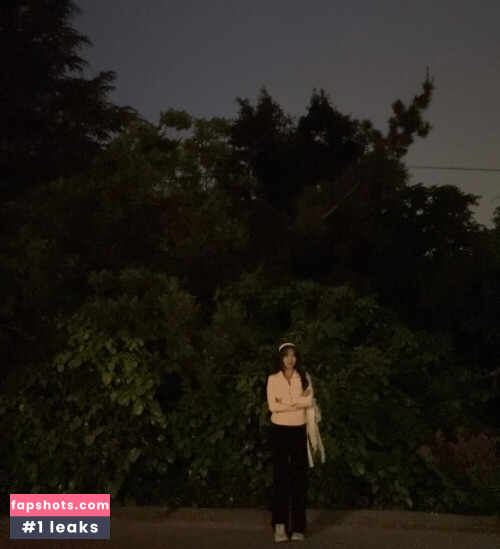 Pokimane gallery photo #1325