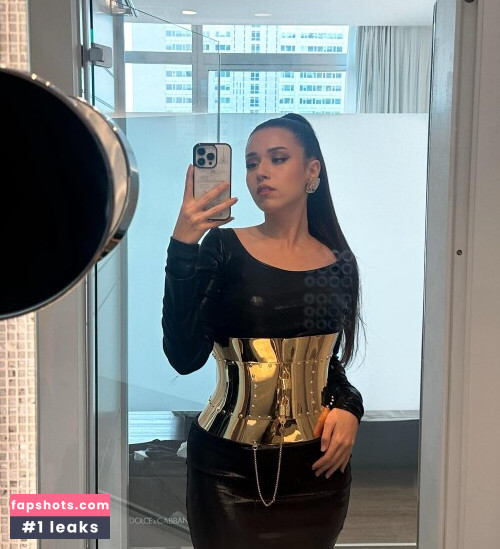 Pokimane gallery photo #1841