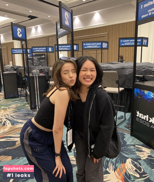 Pokimane gallery photo #1901