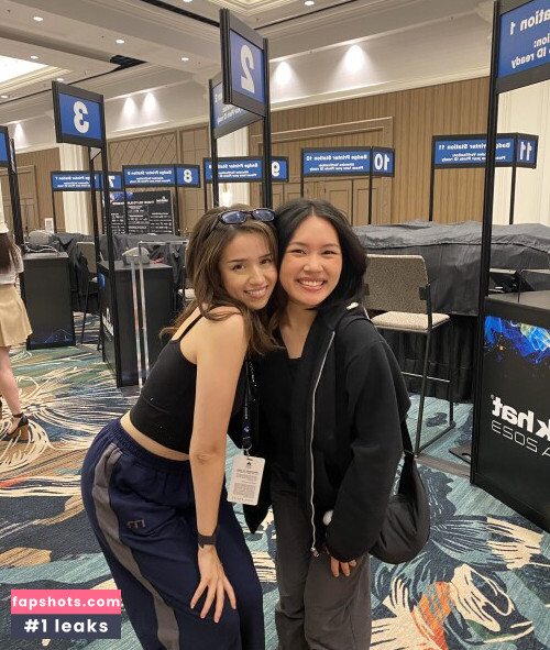 Pokimane gallery photo #1902