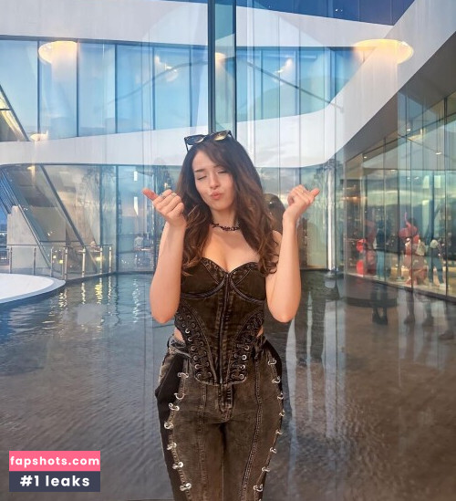 Pokimane gallery photo #2014