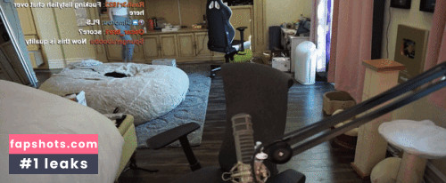 Pokimane gallery photo #2457