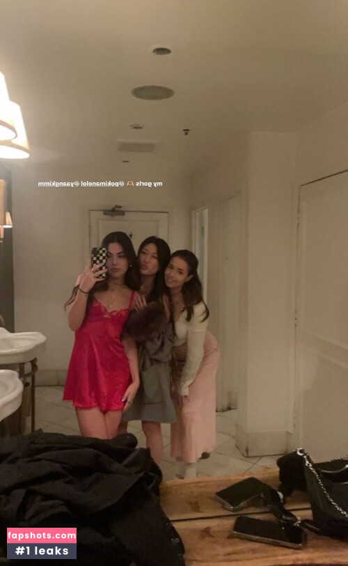 Pokimane gallery photo #2477