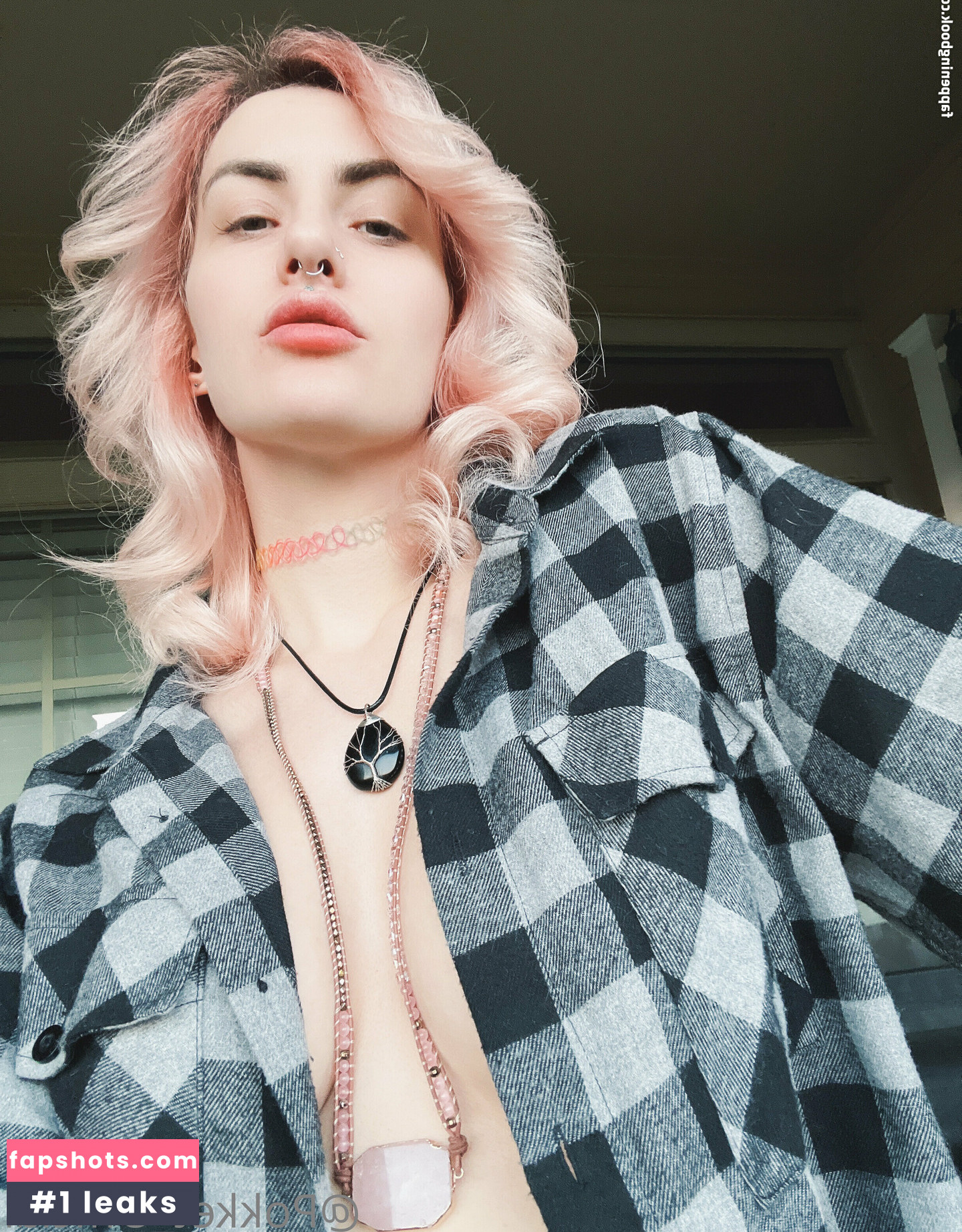 Pokket gallery photo #318