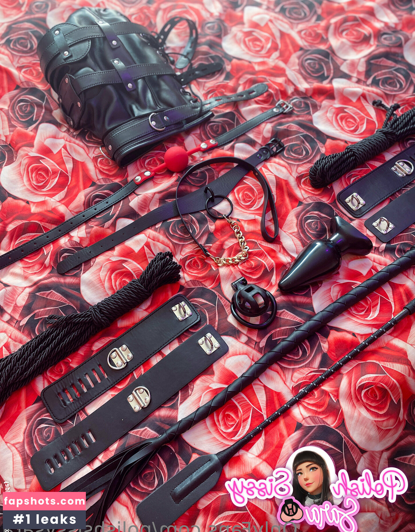 polishsissysara gallery photo #40