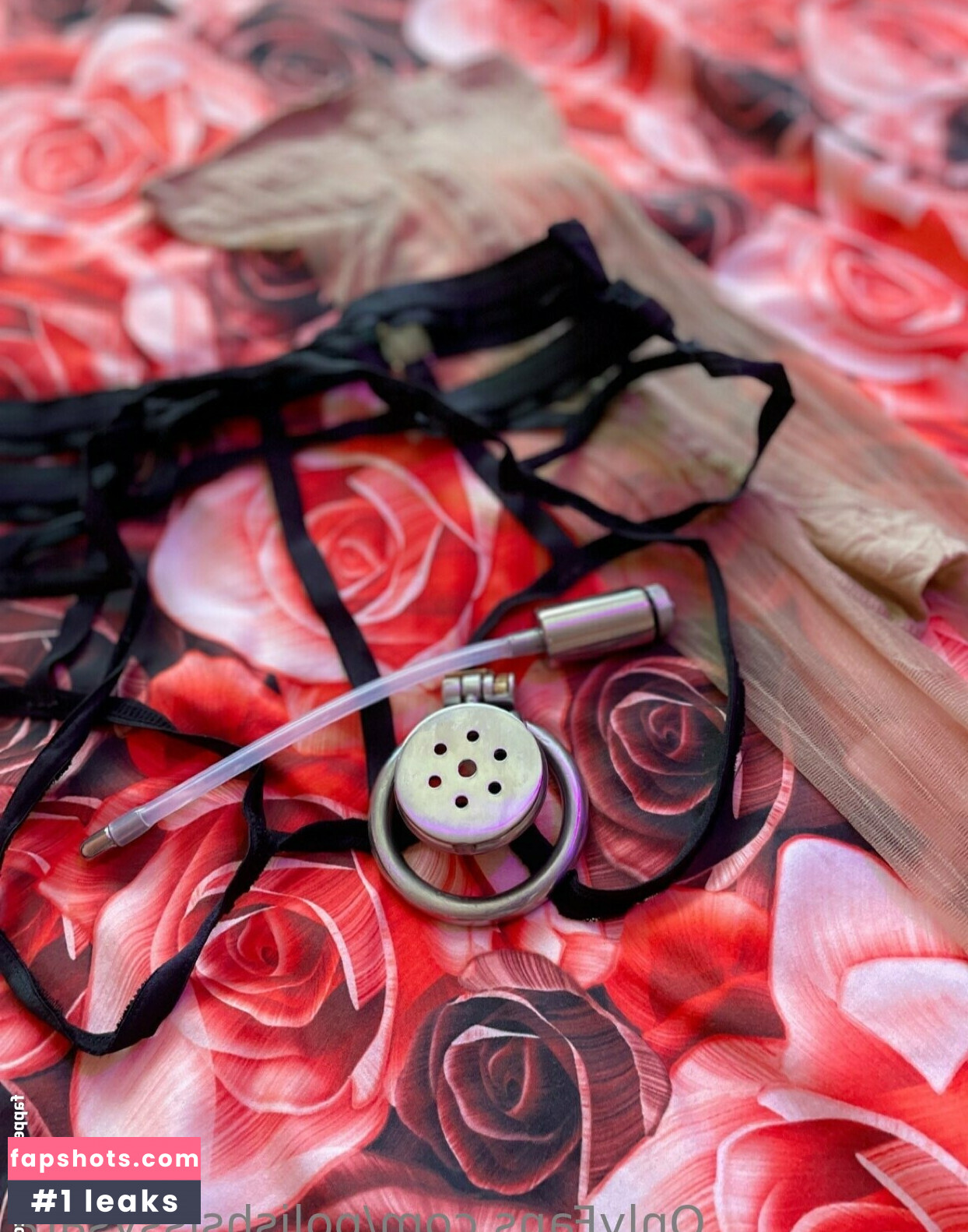 polishsissysara gallery photo #41