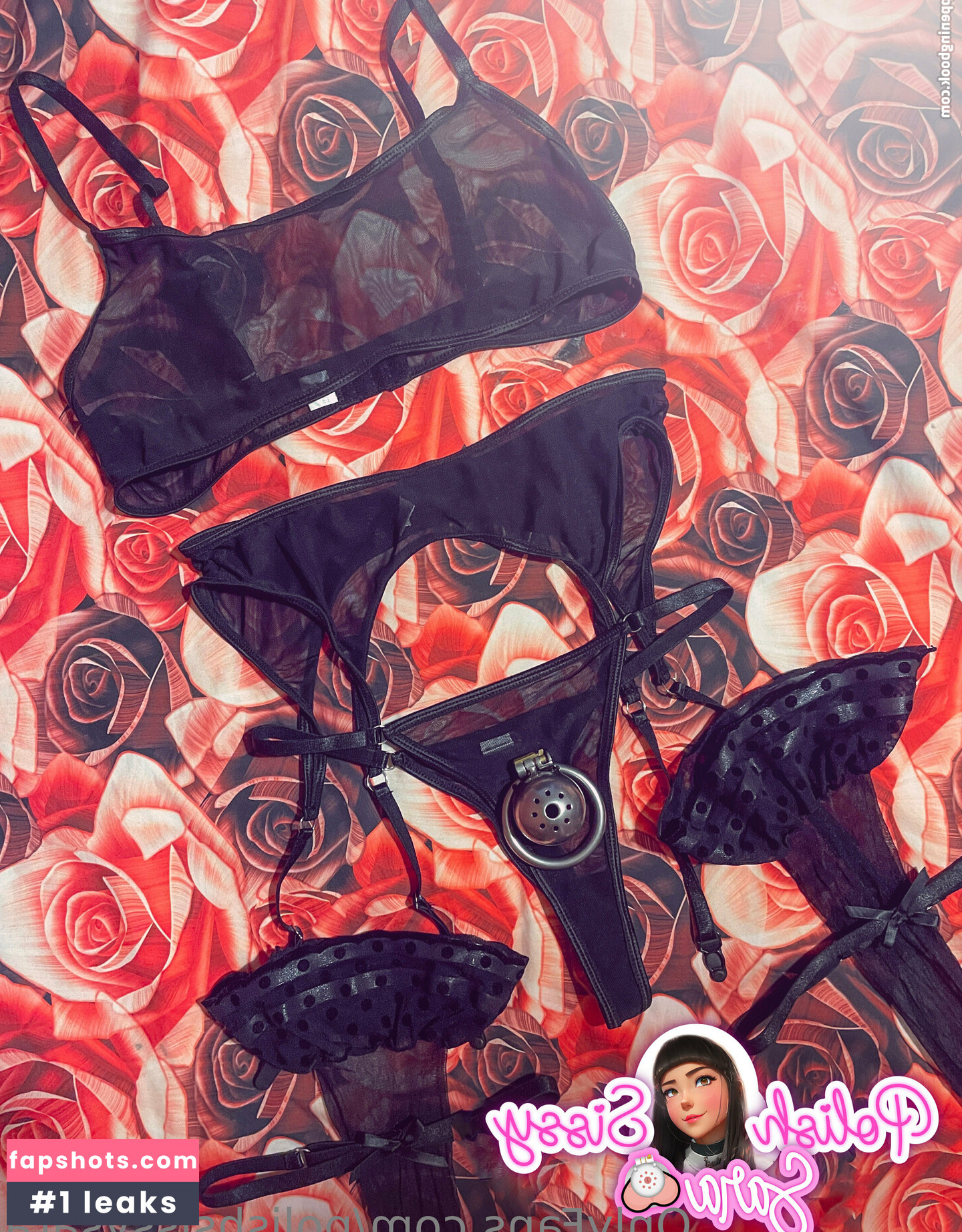 polishsissysara gallery photo #45