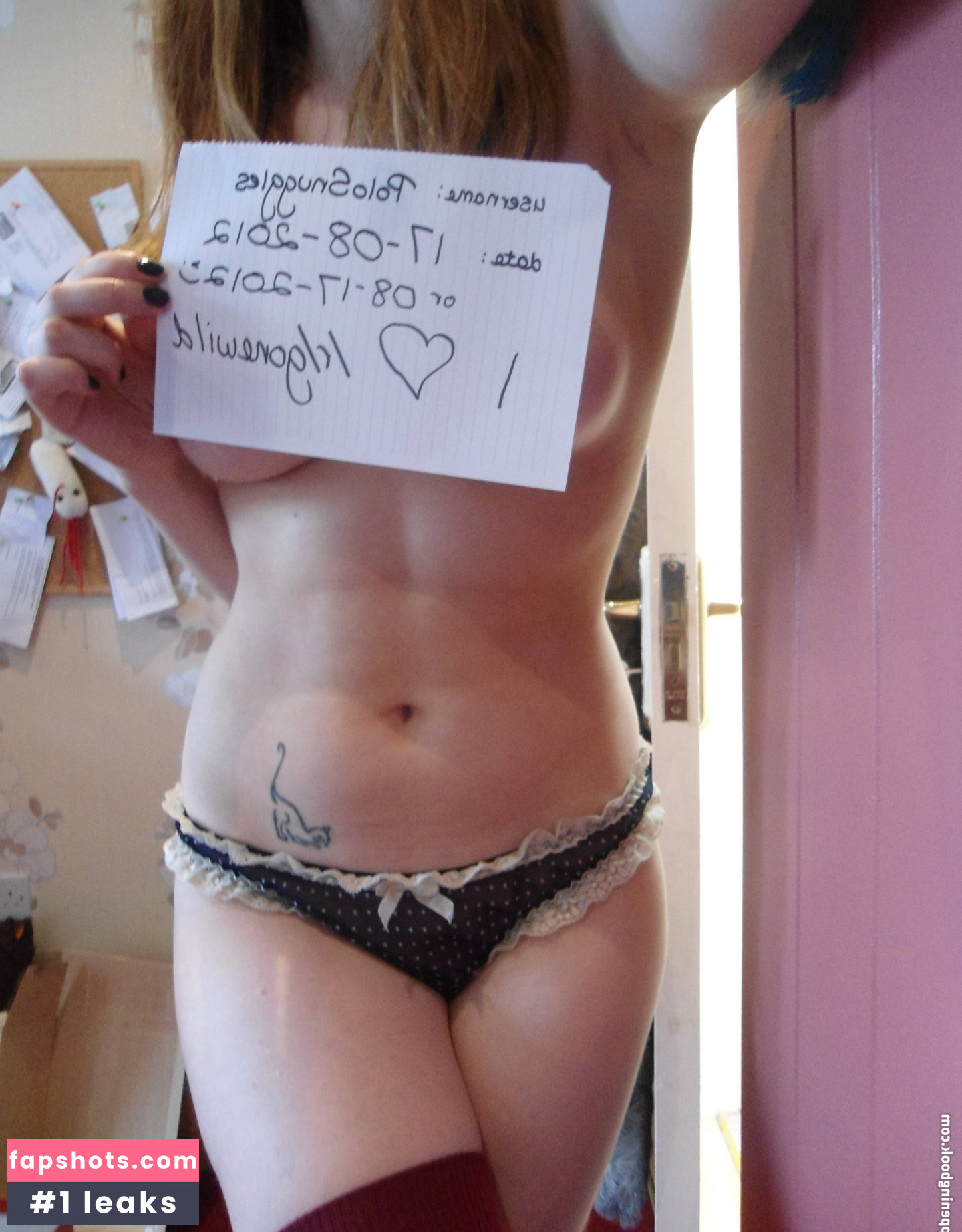 PoloSnuggles gallery photo #11