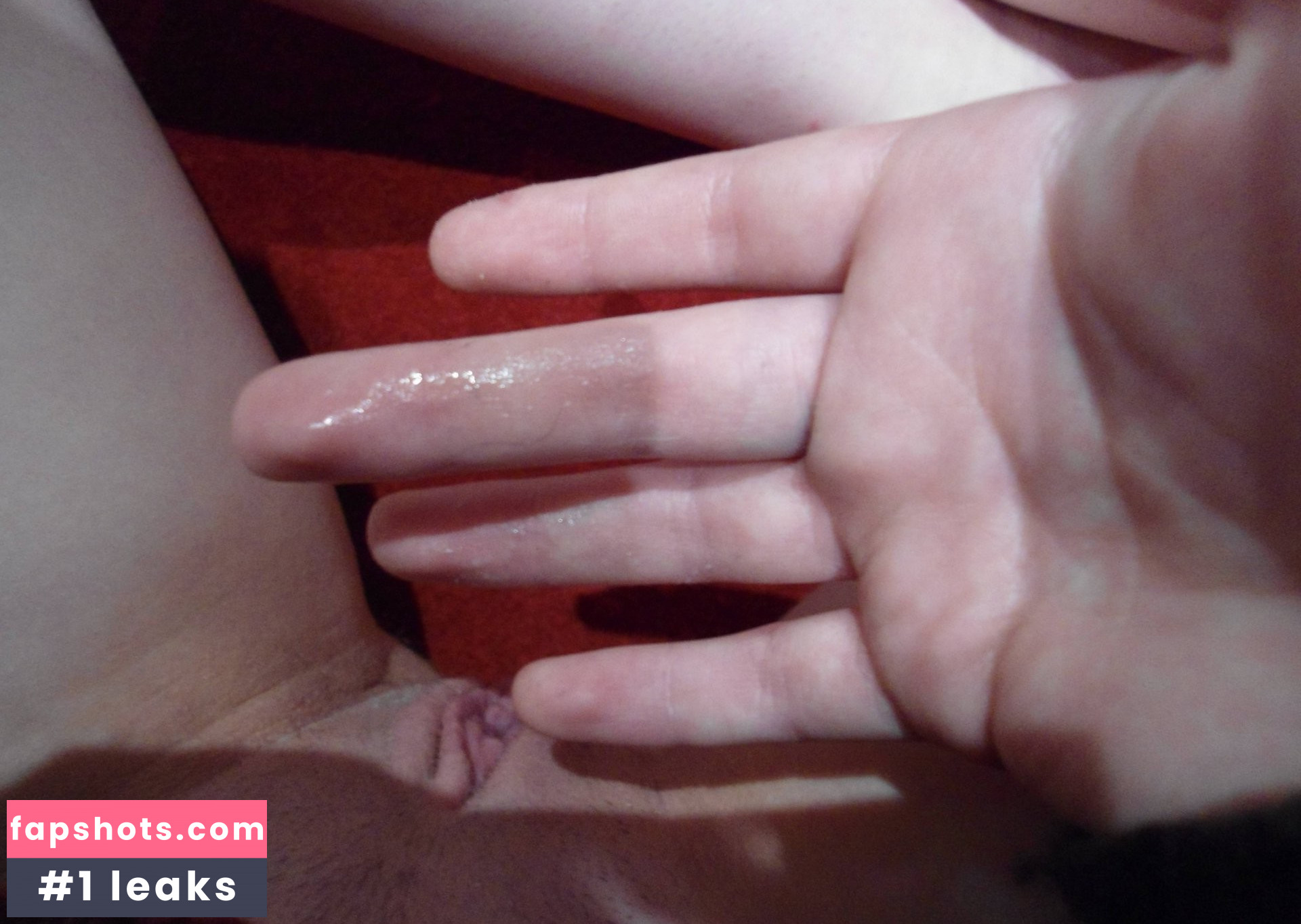 PoloSnuggles gallery photo #24