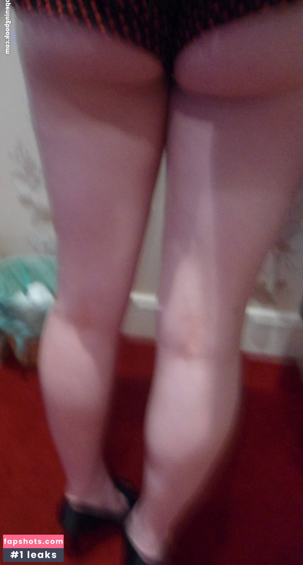 PoloSnuggles gallery photo #36