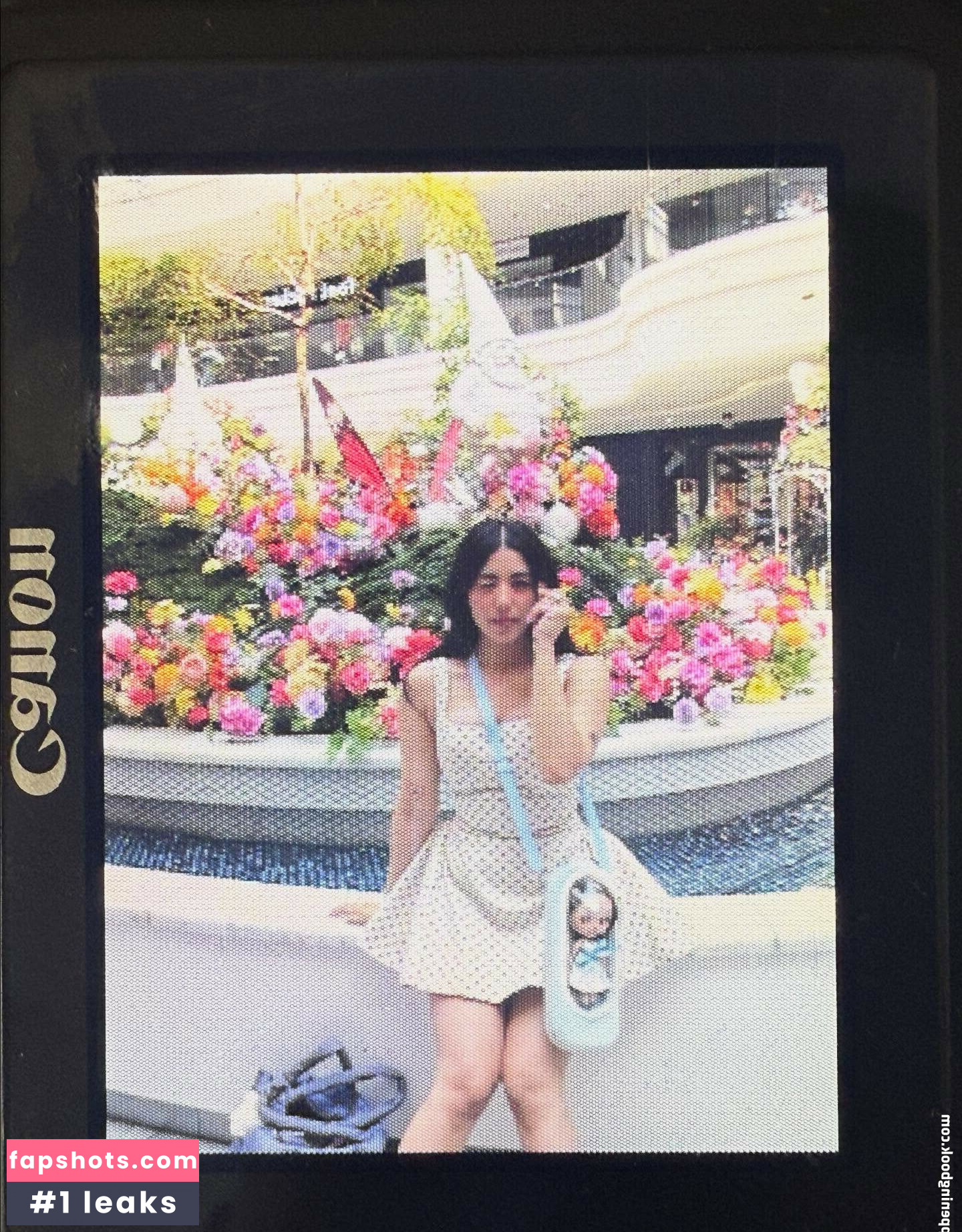 Pom Pom Squad gallery photo #3