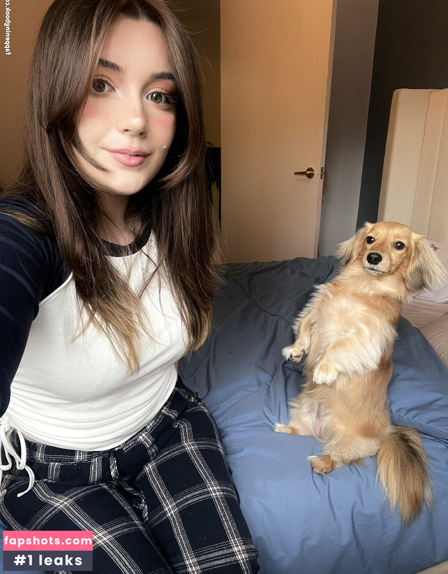 poopernoodle gallery photo #4