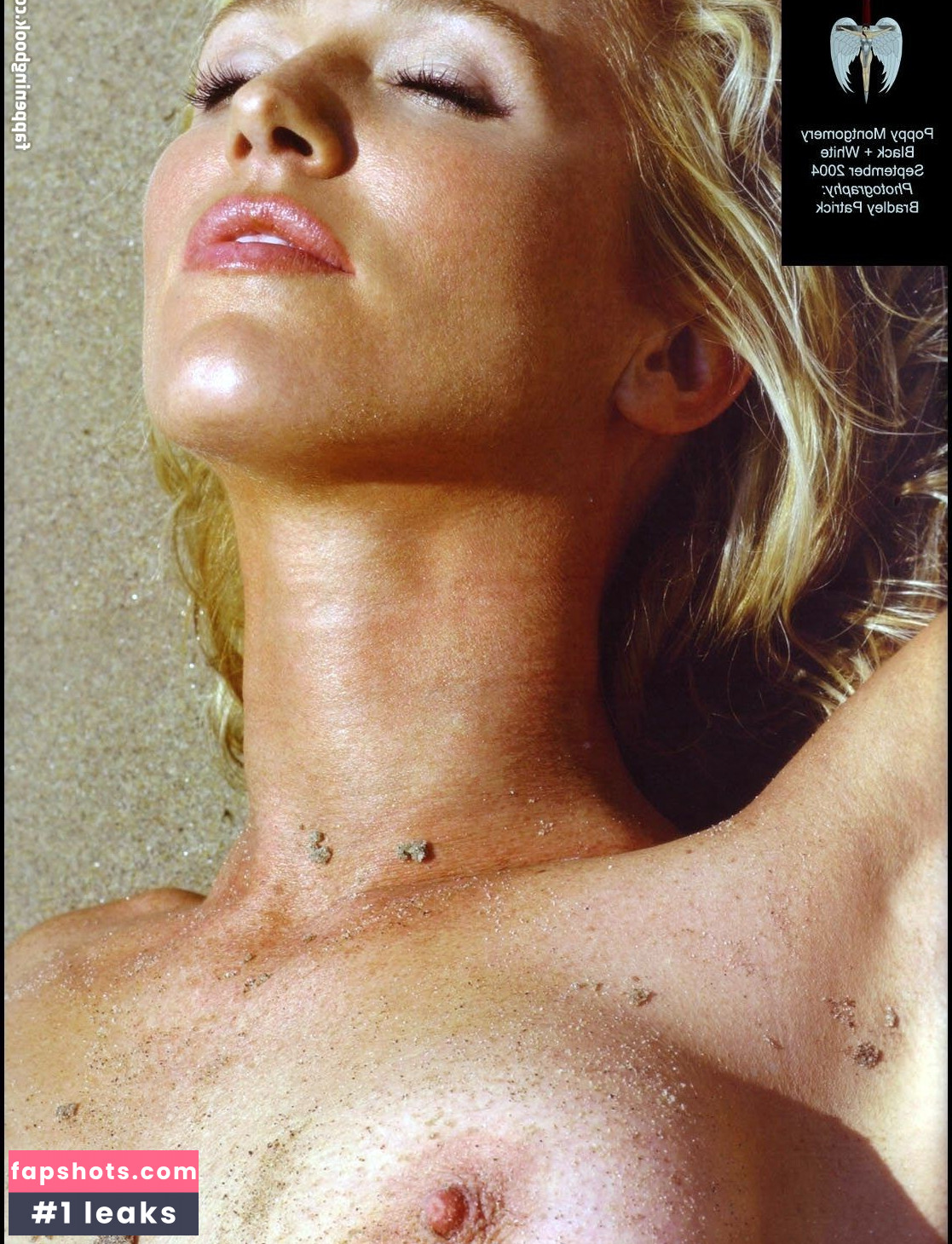 Poppy Montgomery gallery photo #56