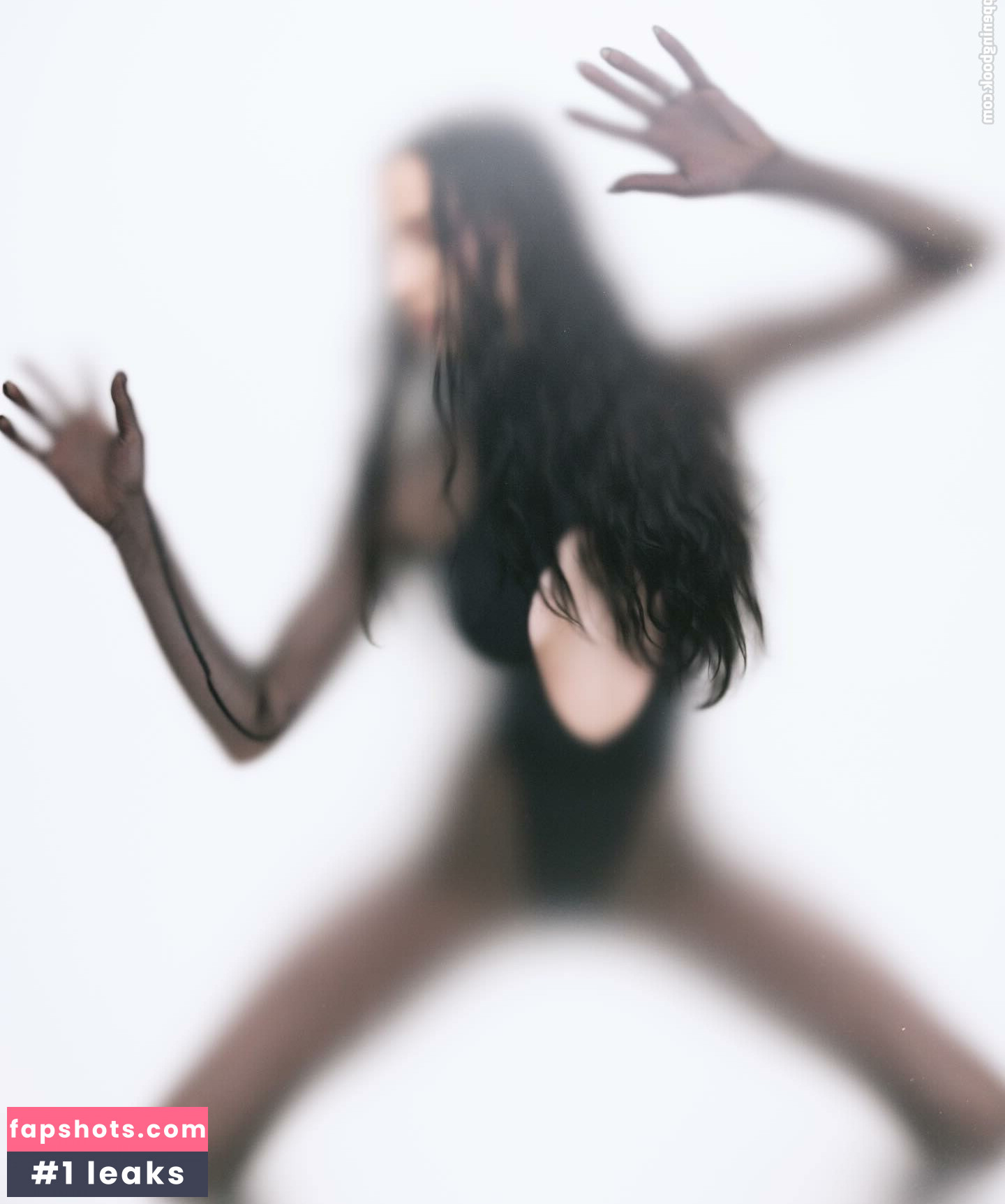 Poppy gallery photo #58