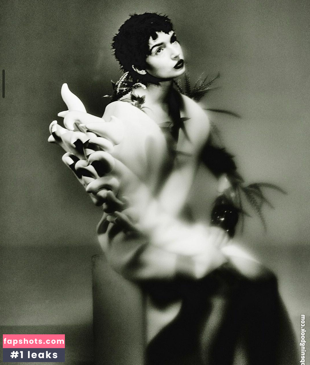 Poppy gallery photo #85