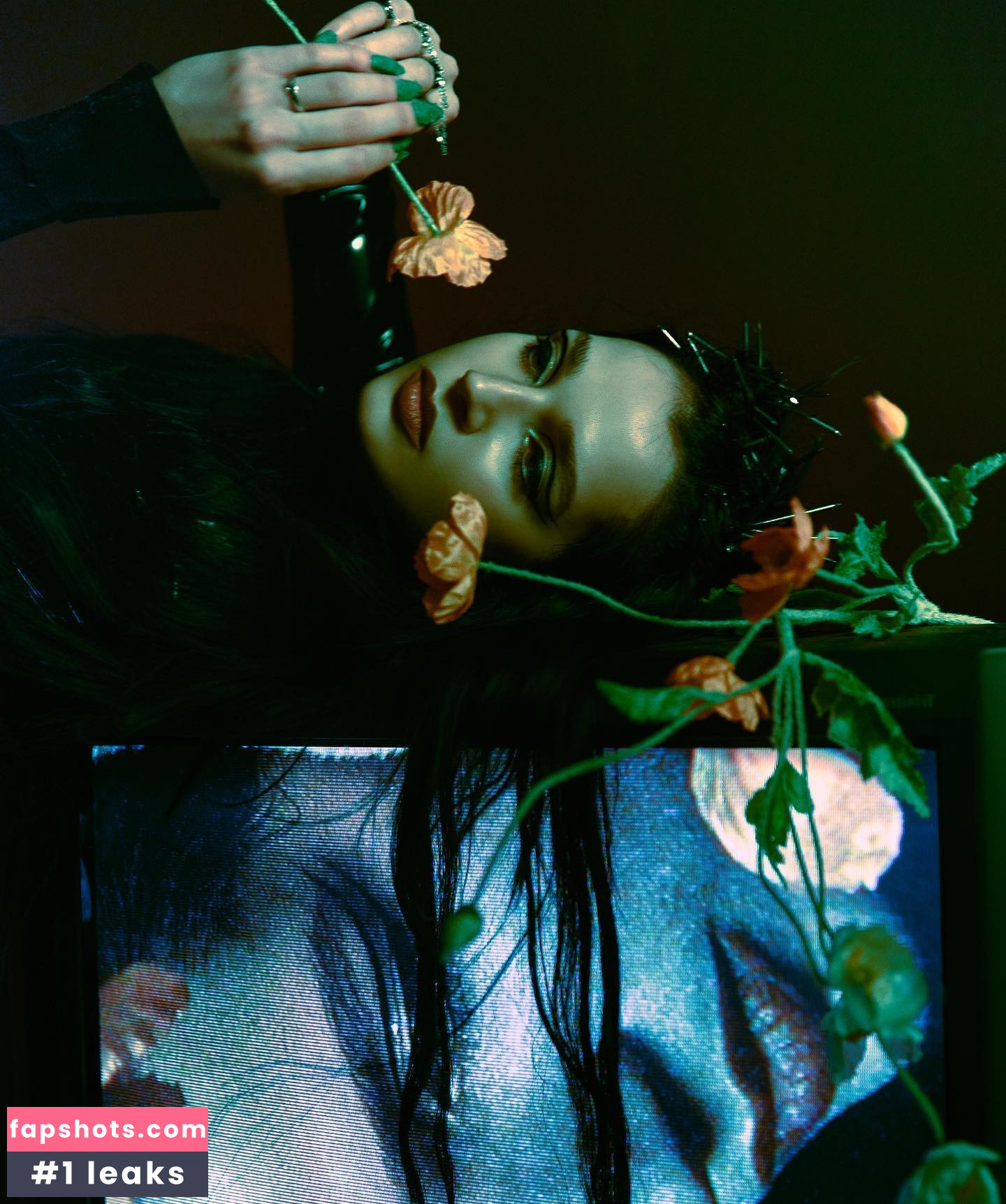 Poppy gallery photo #99