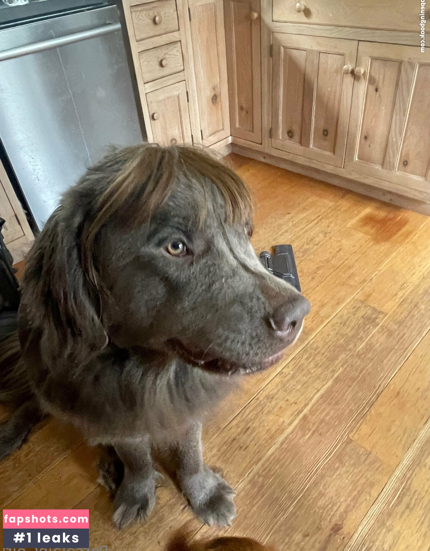 porcelaingoirl Nude Leaks OnlyFans Photos #26 - LeakJerk