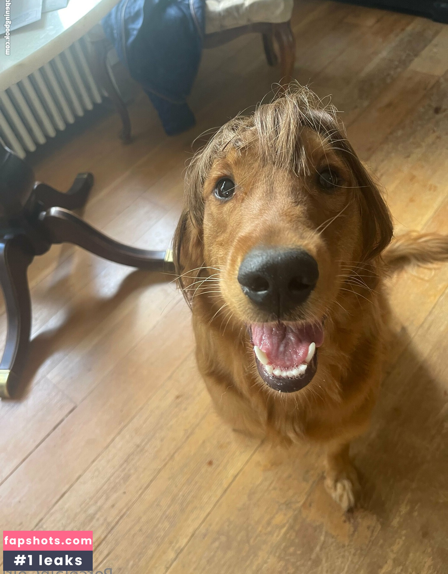 porcelaingoirl Nude Leaks OnlyFans Photos #27 - LeakJerk