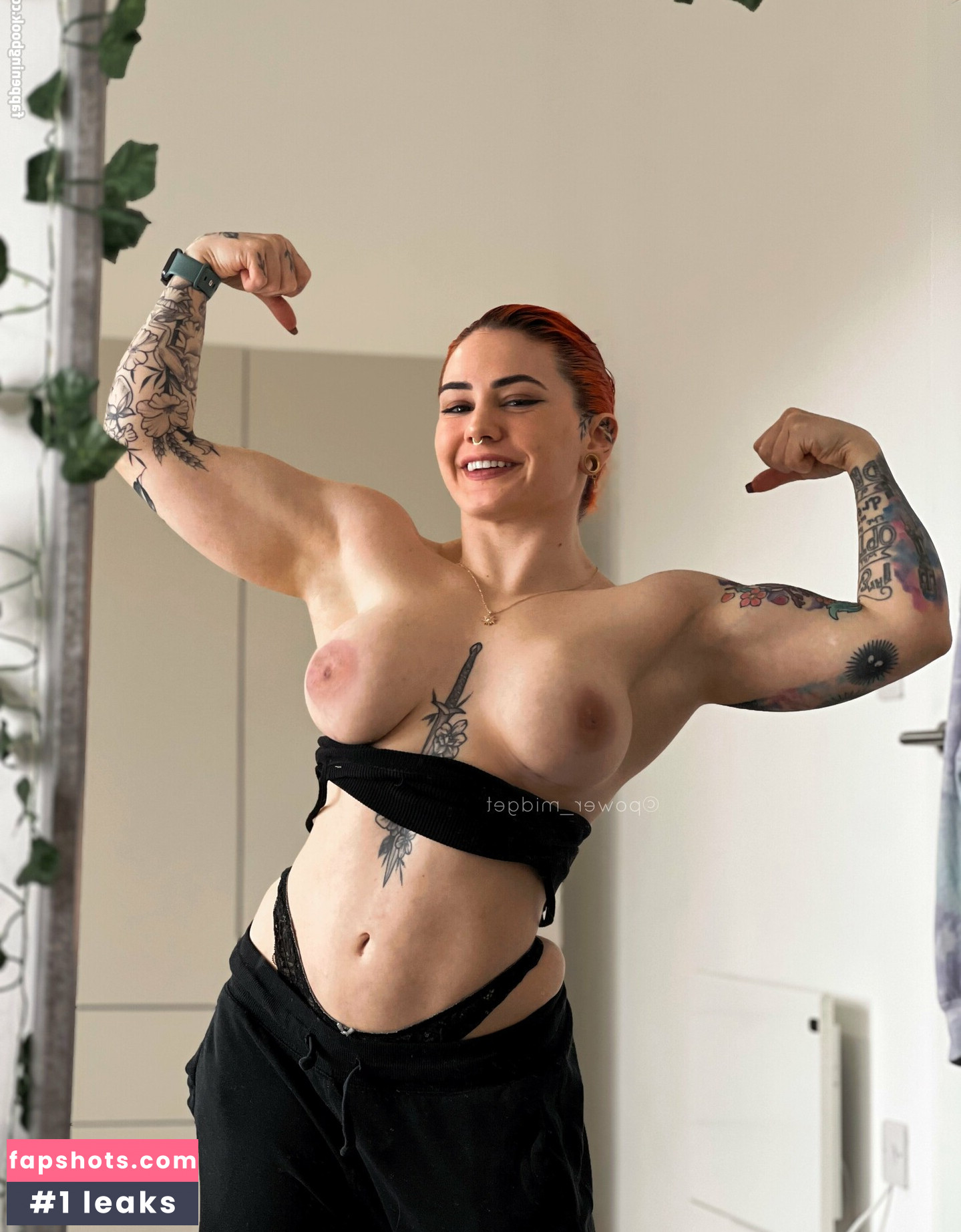 Power_midget gallery photo #191