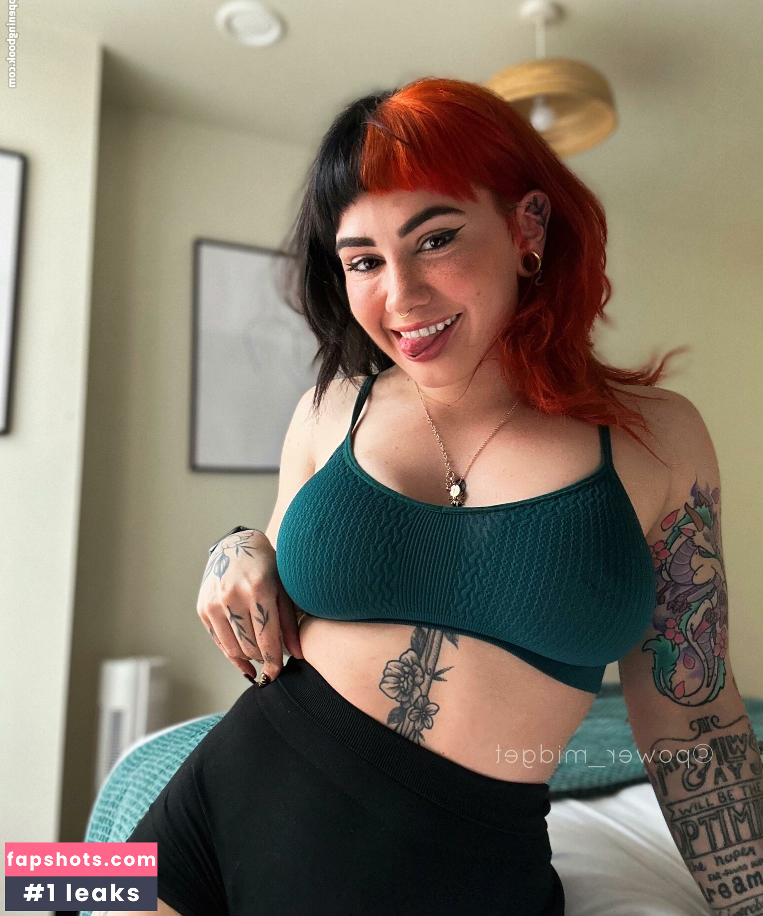 Power_midget gallery photo #327