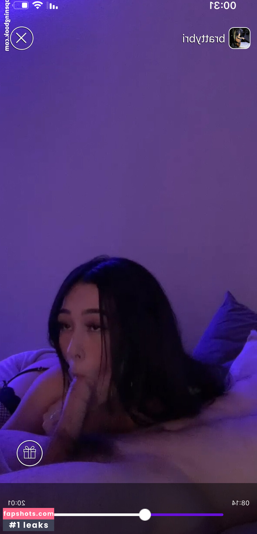 Premebrii gallery photo #15