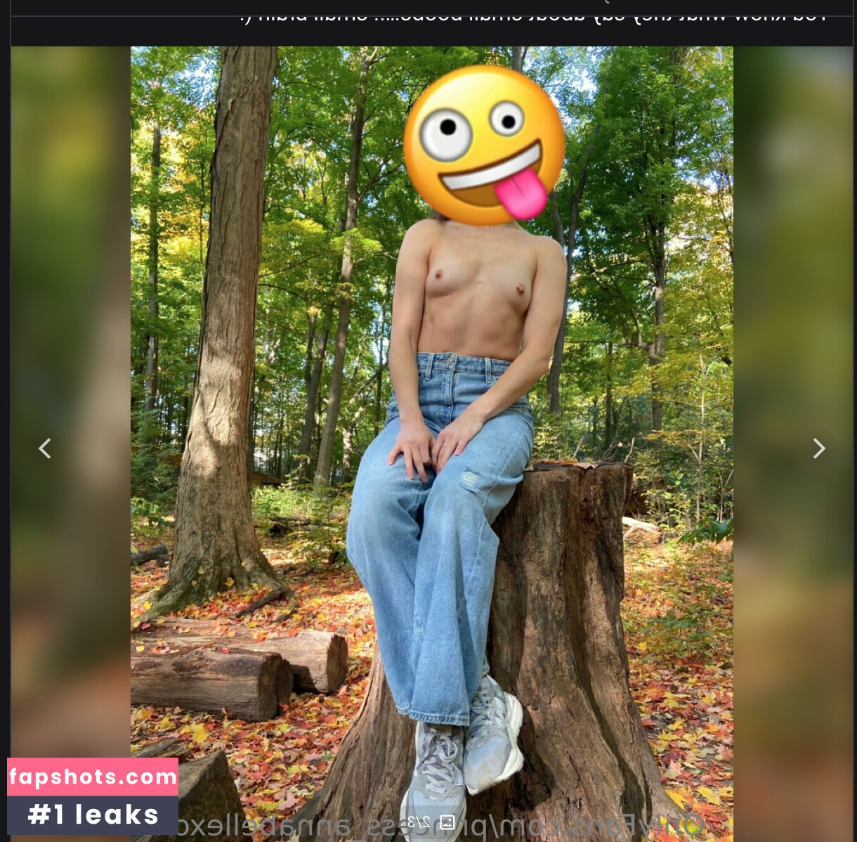 princess_annabellexoxo Nacktheit OnlyFans Fotos #2 - Fapshots