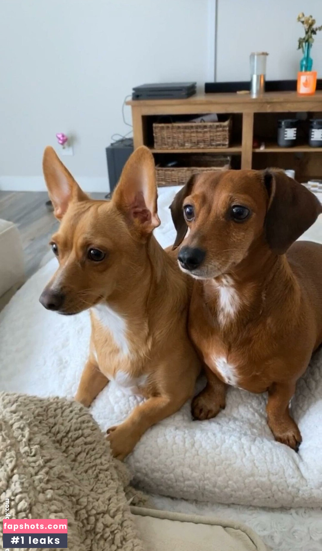 Princess Mary gallery photo #62