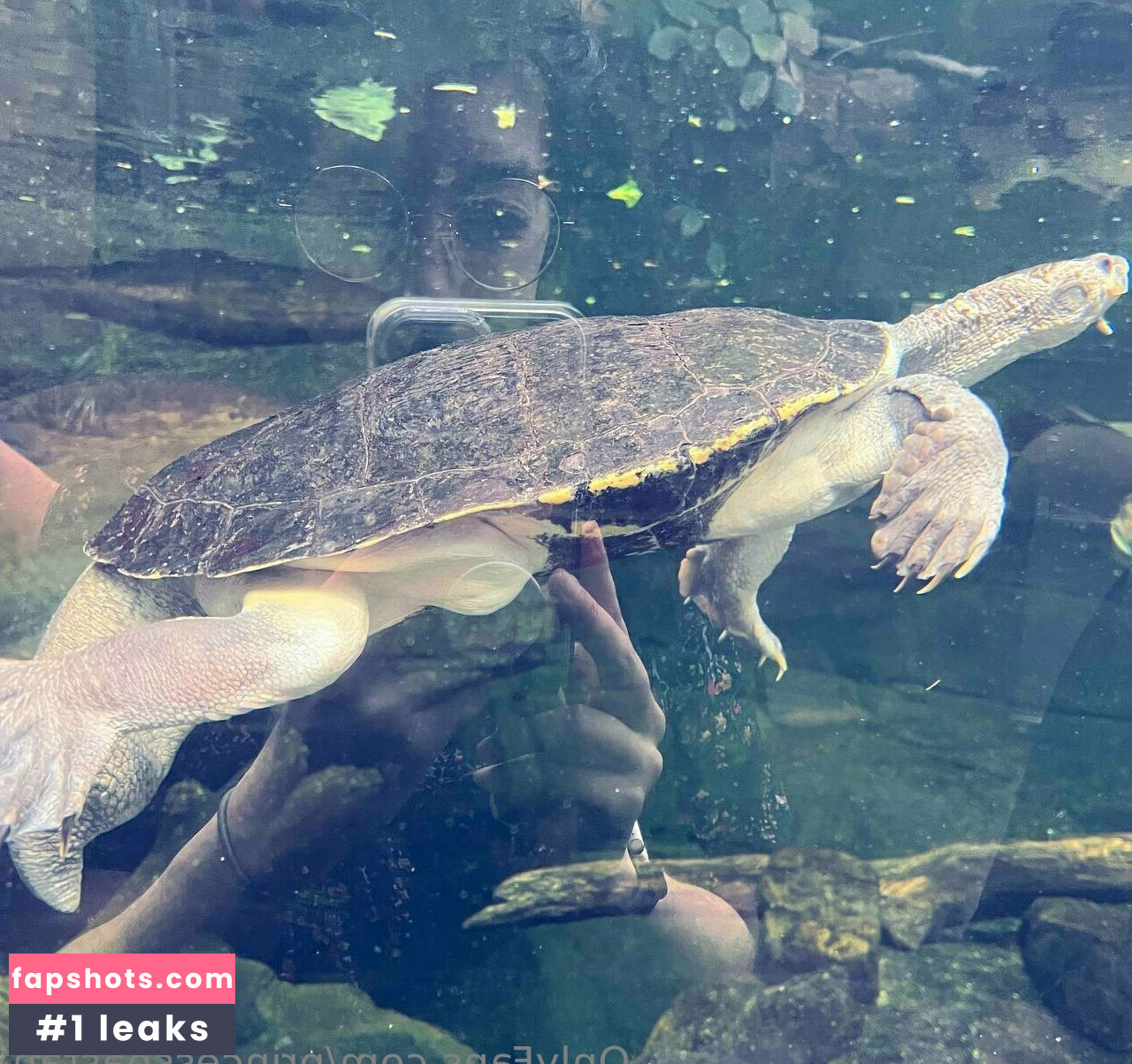 princesspastah gallery photo #29