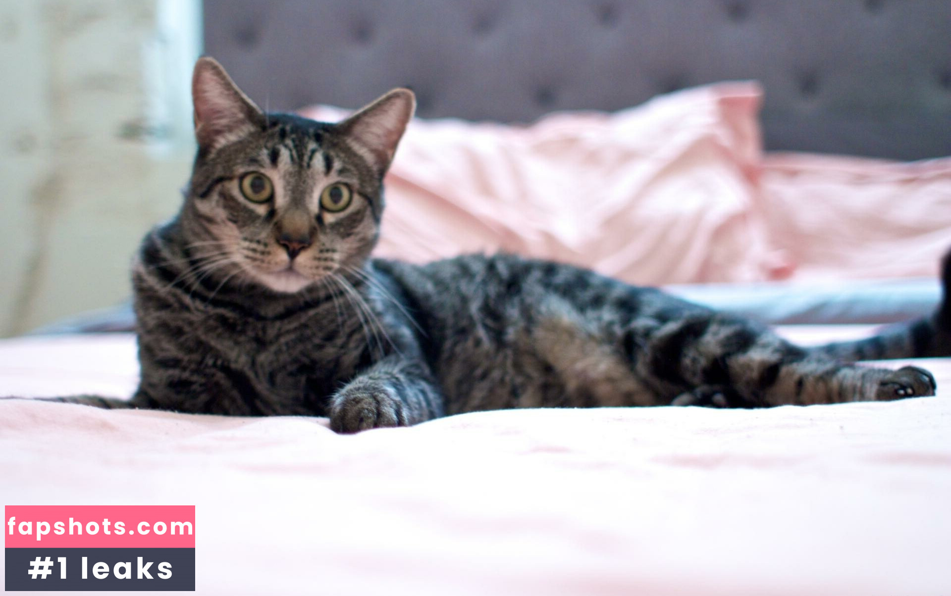 PrincessZoe gallery photo #18