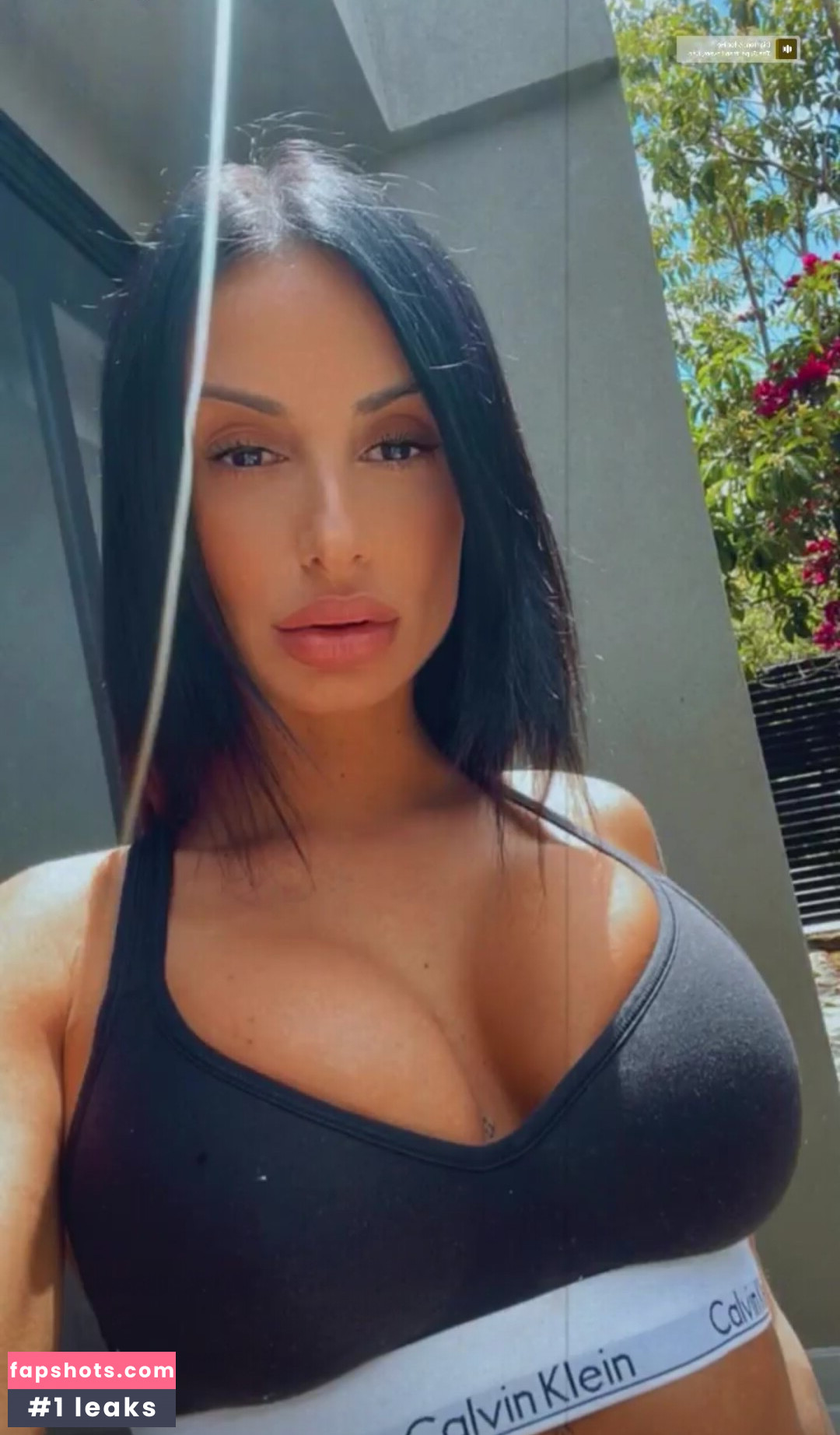 Priscillaspiridis gallery photo #11