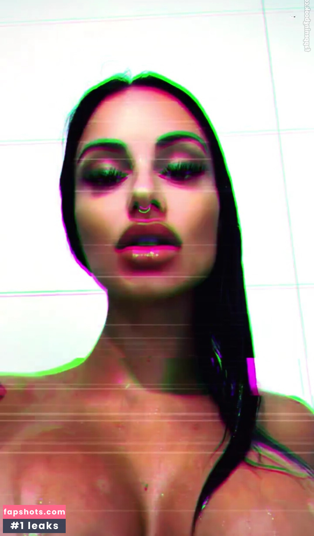 Priscillaspiridis gallery photo #18