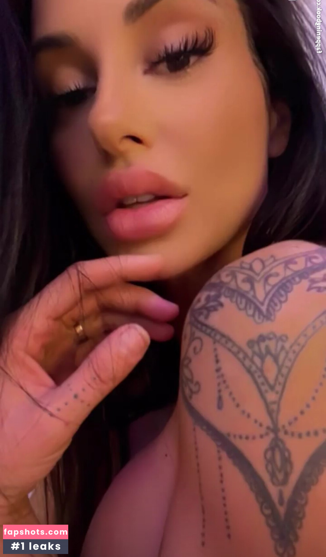 Priscillaspiridis gallery photo #27