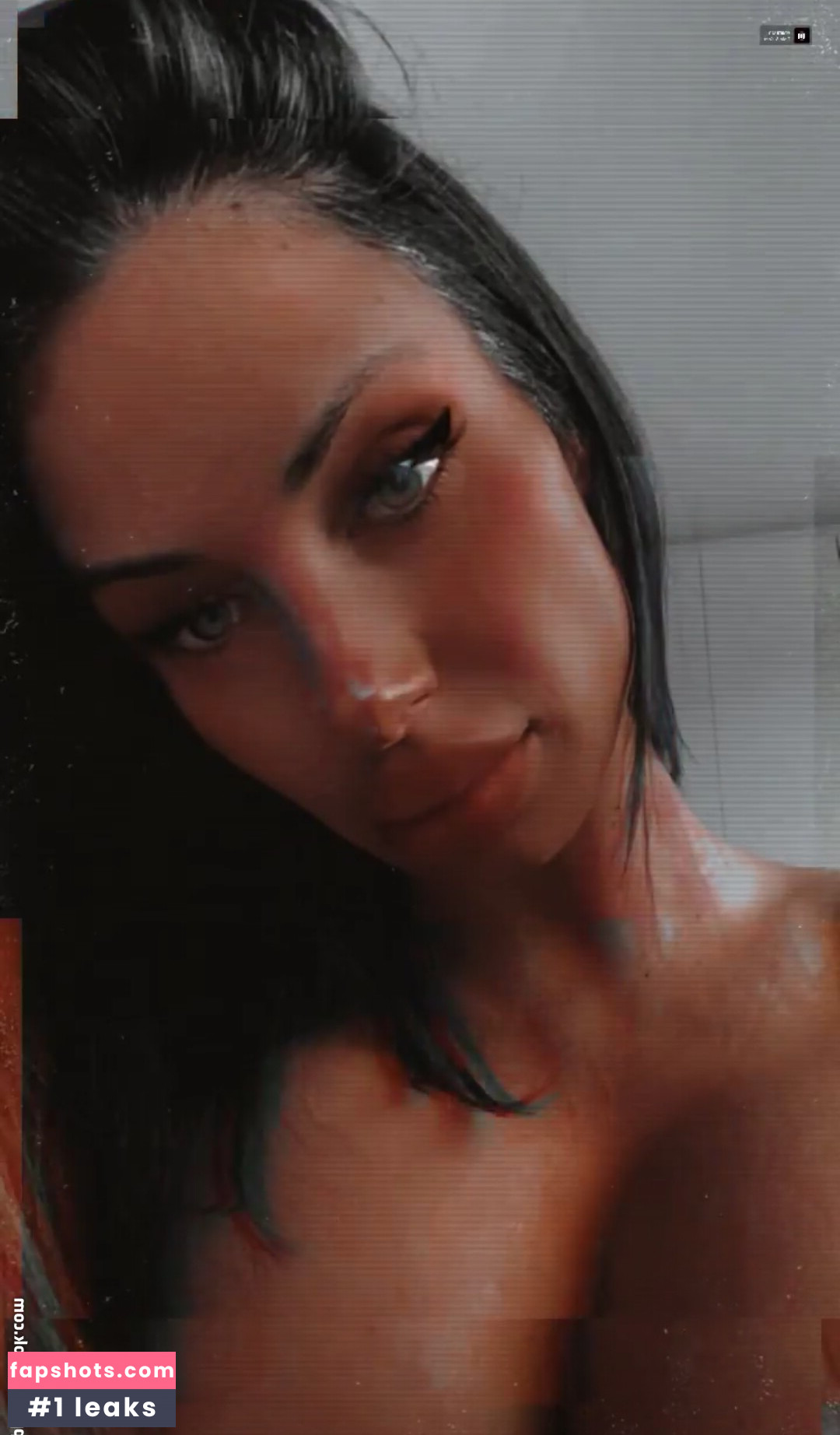 Priscillaspiridis gallery photo #8