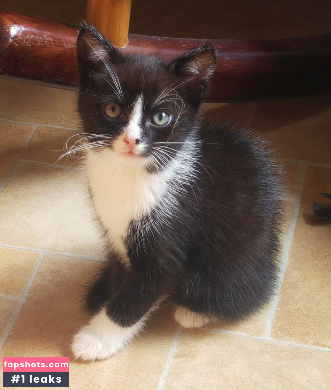 Prisonersnakey gallery photo #20