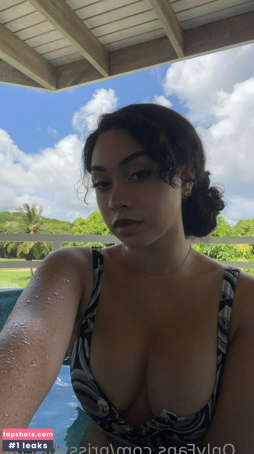 prissybiscuit gallery photo #3