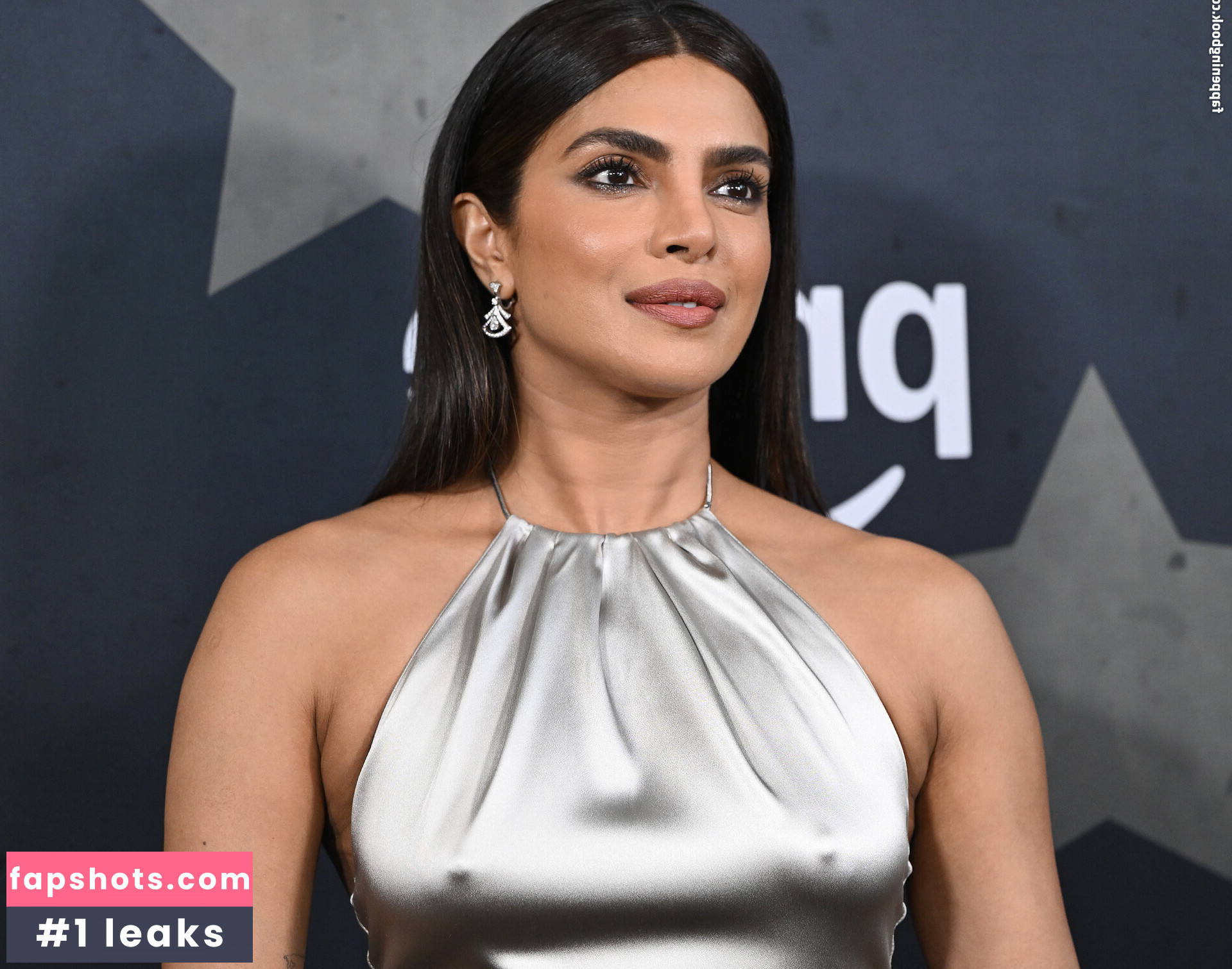 Priyanka Chopra gallery photo #2